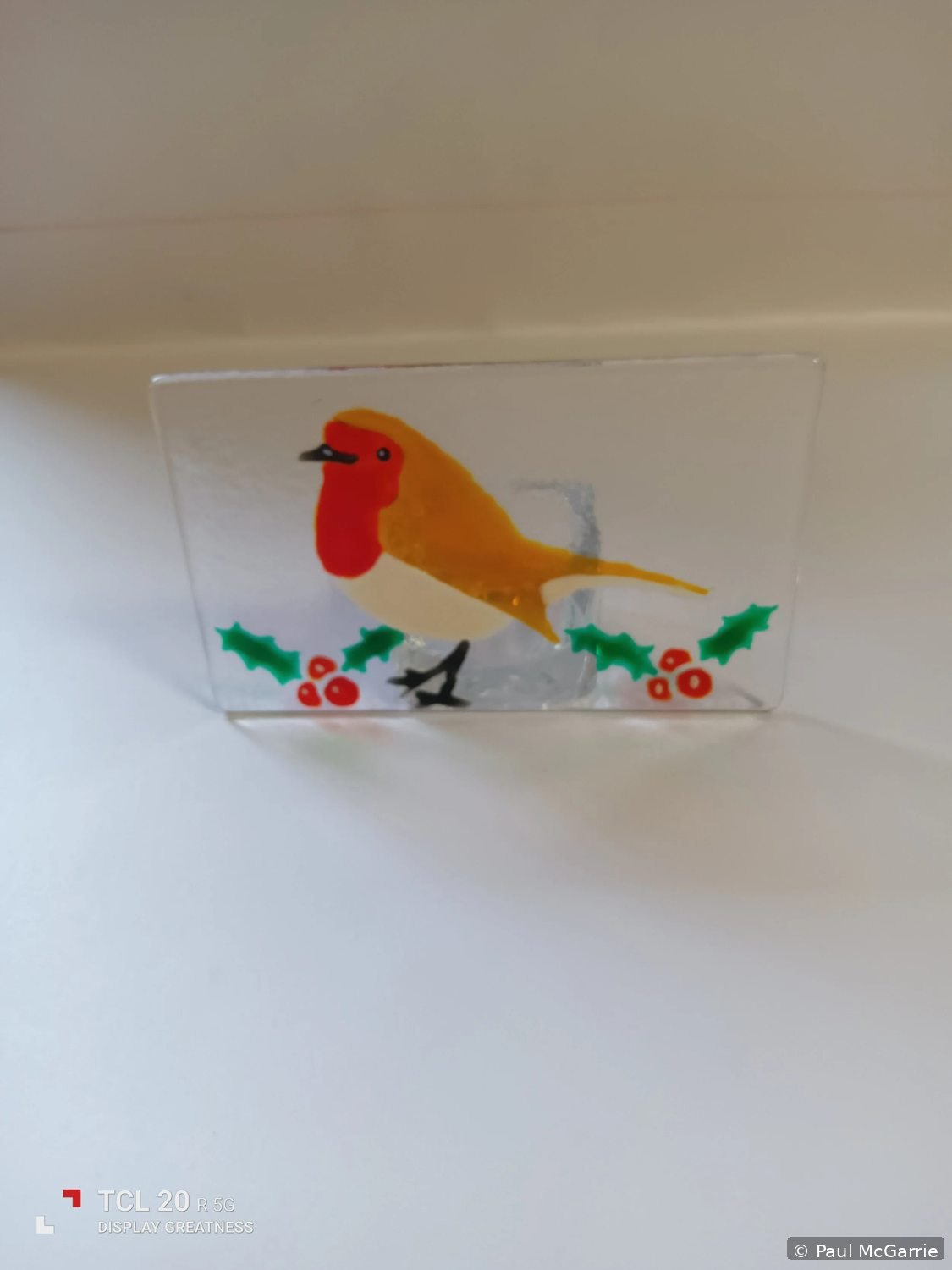 Robin Glasswork, fused glass artwork by Paul McGarrie, photograph 1