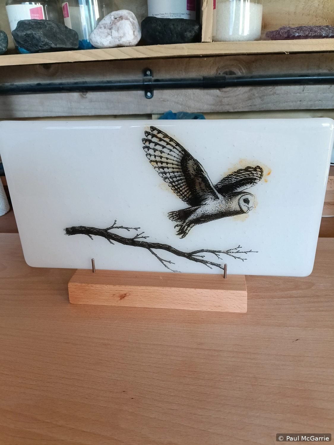 Bird in Flight Glass, fused glass artwork by Paul McGarrie, photograph 1
