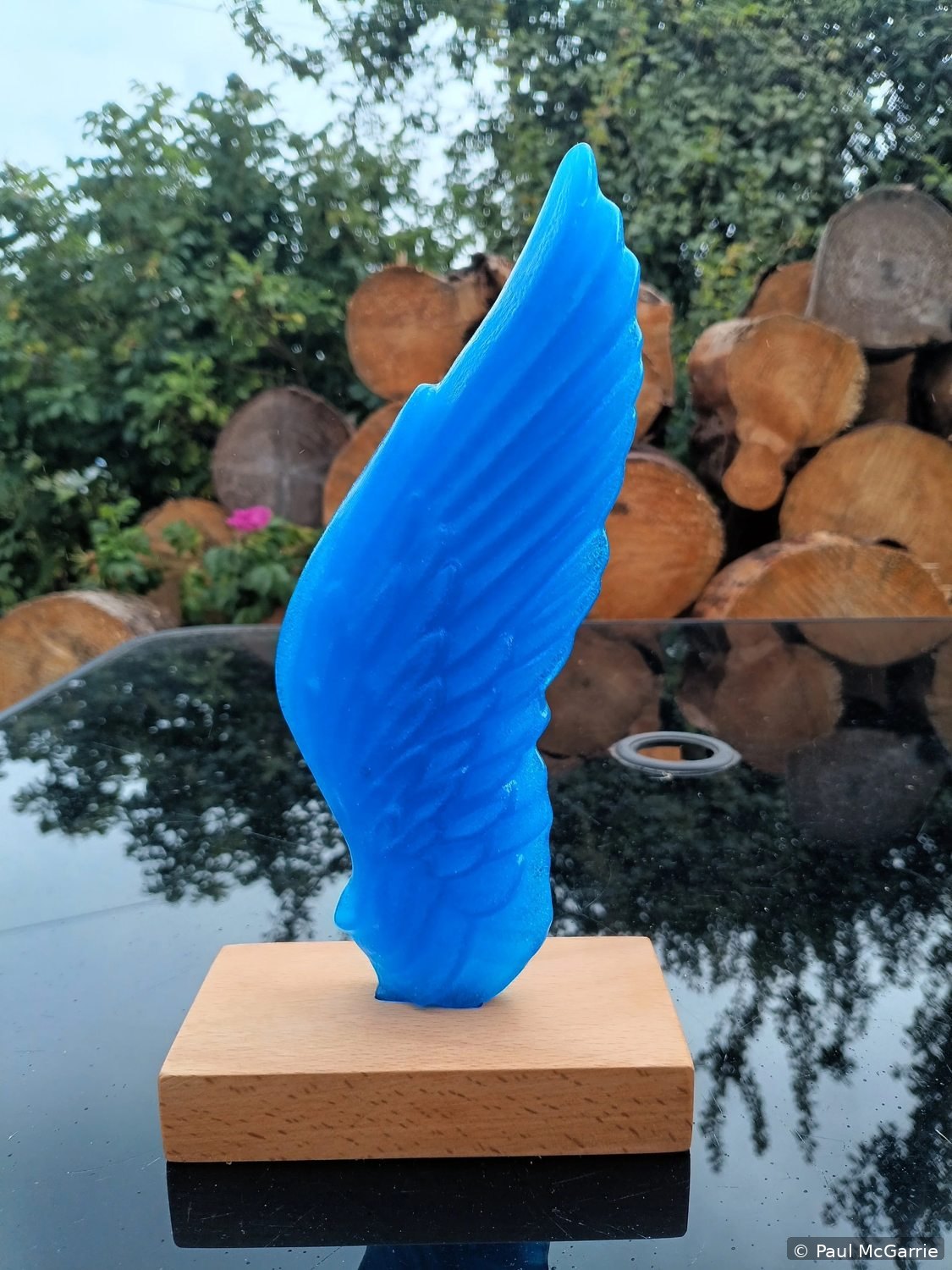 Glass Angel Wing in Turquoise, fused glass artwork by Paul McGarrie, photograph 1